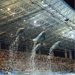 名古屋港水族館「ナイトアクアリウム」