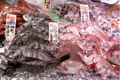 魚太郎 本店