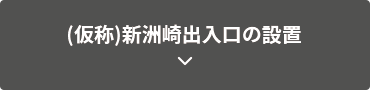 新洲崎出入口の設置